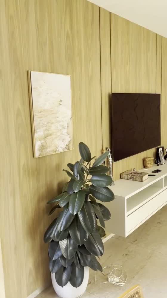 Painel e home theater entregue